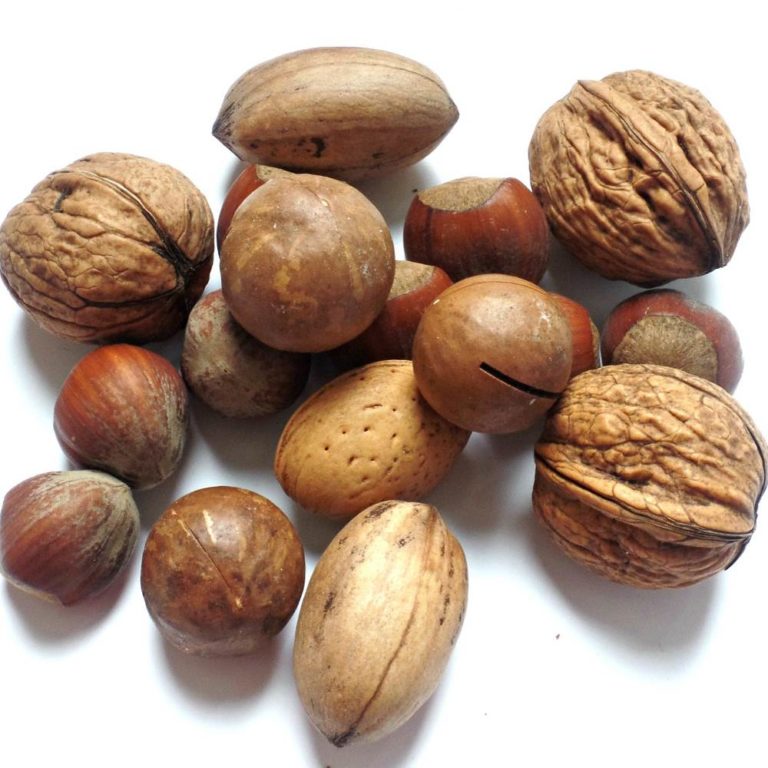 frutos secos