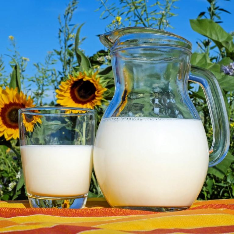 leche de vaca